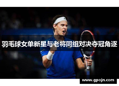 羽毛球女单新星与老将同组对决夺冠角逐